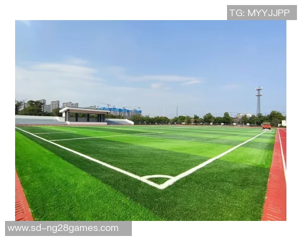 球星私人足球场揭秘 每一寸草地都见证着他们的荣耀与汗水 球星私人足球场揭秘 每一寸草地都见证着他们的荣耀与汗水